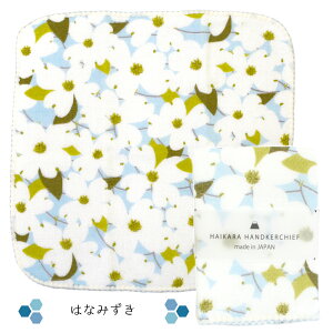 K[[nJ`  { K[[^I nJ` 25×25cm nJ`^I ^InJ` nh^I Ăʂ ʂ^I Y a 100 z  y 킢  p