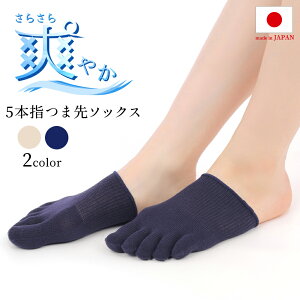 5{w\bNX ܖ{w C Y fB[X ȍ d˗ Ci[ tbgJo[ pvX T_ Xj[J[ 5{wN\bNX   K 炳 ₦΍  O \h 