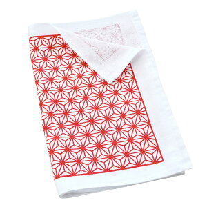 { a K[[^I ʂ ^I tFCX^I K[[a^I  B^I Ăʂ C TEi K[fjO ^I xmR  ̗t ӂ g{  