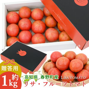 【予約】【諸木直送】 トマト Lisa フルーツトマト 贈答用 1箱 100日トマト 春野町 高糖度トマト 高知産 新鮮 産地直送 高知 糖度8度以上 高知県産 ふるーつとまと 約1キロ 高知県のフルーツト
