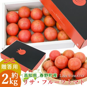 【予約】【諸木直送】 トマト Lisa フルーツトマト 贈答用 2箱 100日トマト 春野町 高糖度トマト 高知産 新鮮 産地直送 高知 糖度8度以上 高知県産 ふるーつとまと 約2キロ 高知県のフルーツト