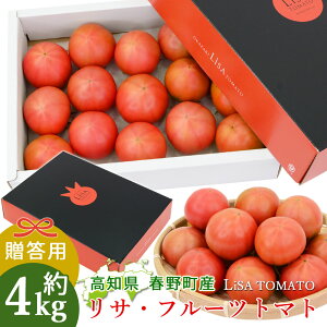 【予約】【諸木直送】 トマト Lisa フルーツトマト 贈答用 4箱 100日トマト 春野町 高糖度トマト 高知産 新鮮 産地直送 高知 糖度8度以上 高知県産 ふるーつとまと 約4キロ 高知県のフルーツト