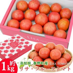 y\zyؒz g}g Lisa t[cg}g 1 100g}g t쒬 xg}g mY VN m x8xȏ mY ƒp ӂ[Ƃ܂ 1L m̃t[cg}g ܂