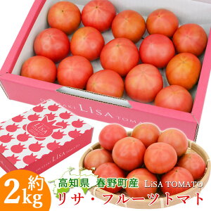 y\zyؒz g}g Lisa t[cg}g 2 100g}g t쒬 xg}g mY VN m x8xȏ mY ƒp ӂ[Ƃ܂ 2L m̃t[cg}g ܂