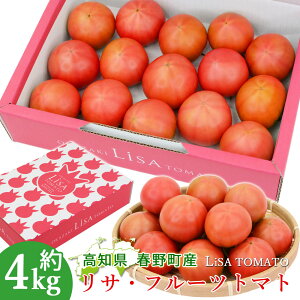 y\zyؒz g}g Lisa t[cg}g 4 100g}g t쒬 xg}g mY VN m x8xȏ mY ƒp ӂ[Ƃ܂ 4L m̃t[cg}g ܂