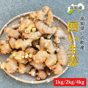 y\zy̎Yz I 1kg 2kg 4kg mY Y 傤 _ƒ J_ mY VEK 1L ͐I mI ͂I 􂢐I  ώ g IĂ |傤 傤