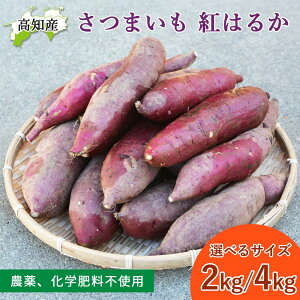 y\zy̎Yz ܈ g͂邩 2kg 4kg R͔| _ ͔|Ԓ w엿 yE sgp  mY ̒ ܂ ׂɂ͂邩 Tc}C Y  F J_ T