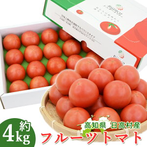 y\zyz VK[g}g t[cg}g 4kg 80 1kg×4P[X x g}g mY VN Yn m x8xȏ mY p ƒp ϔ ӂ[Ƃ