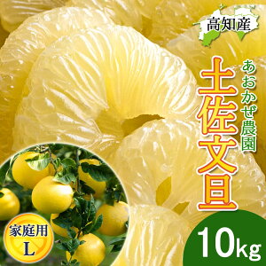 y\zU yU ƒp LTCY 22`26 10kg hѕU Y _ h Ԃ񂽂 hюs Yn mY hюY 5L W[V[ ܂₩ m u^ ͂ĂɐHׂ