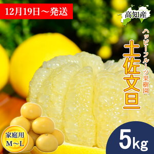 �y�N������/�\��z ���U �y�����U �� �ƒ�p 5kg M�`L�T�C�Y �n�b�s�[�t���[�c�ʎ��� �h�ѕ��U �Y�� ���m�Y �h�� �Ԃ񂽂� �T�C�Y���� �Y�n���� �h�юY 5�L�� �W���[�V�[ �܂�₩ �u���^�� ��