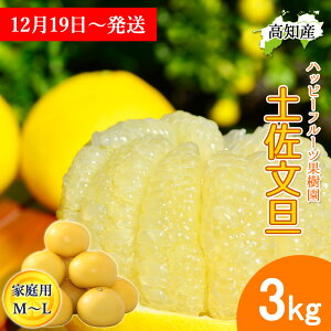 �y�N������/�\��z ���U �y�����U �� �ƒ�p 3kg M�`L�T�C�Y �n�b�s�[�t���[�c�ʎ��� �h�ѕ��U �Y�� ���m�Y �h�� �Ԃ񂽂� �T�C�Y���� �Y�n���� �h�юY 3�L�� �W���[�V�[ �܂�₩ �u���^�� ��