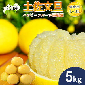 �y�\��z���U �y�����U �ƒ�p 5kg L�`3L�T�C�Y 9�`11�� �n�b�s�[�t���[�c�ʎ��� �h�ѕ��U �Y�� ���m�Y �h�� �Ԃ񂽂� �T�C�Y���� �Y�n���� �h�юY 5�L�� �W���[�V�[ �܂�₩ �u���^�� �썑�y