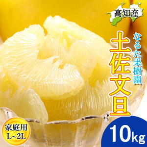 【予約】文旦 土佐文旦 家庭用 10kg L〜2Lサイズ 21〜25玉 なるた果樹園 宿毛文旦 産直 高知産 宿毛 ぶんたん 産地直送 宿毛産 10キロ ジューシー まろやか ブンタン 成田果樹園 届いてすぐに食