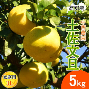 y\zU yU ƒp 3LTCY 8`9 5kg hѕU Y _ h Ԃ񂽂 hюs Yn mY hюY 5L W[V[ ܂₩ m u^ ͂ĂɐHׂǏn