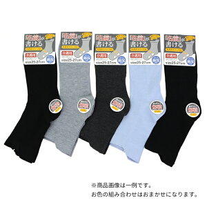 [|Cg10{] O  \bNX Y am C Ўŗ 5 Zbg n  VjA pC SȂ 邢  ߂ ȍ Kf N[ 