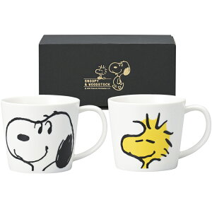 Xk[s[EbhXgbN X}CtFCXyA}OZbg 623750 097-C024 bsO ̂ bZ[WJ[h Mtg OX Xk[s[ yA}O j 蕨 Ԃ  