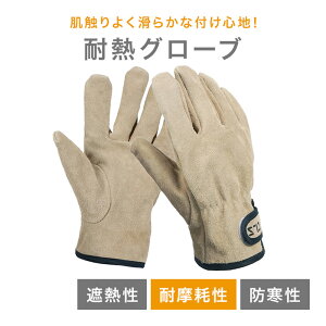 [|Cg10{] v ϔMO[u ϔM hΎ LvO[u Ɨp ΃O[u t[TCY dO o[xL[   Lvpi  ϔMR  