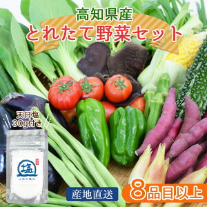 m؃Zbg ỷ lߍ킹 { ؃Zbg 8iڈȏ mY Y Yn VN   t ʕ y mY O Mtg  Ε hV̓ m̏{؂ƍ