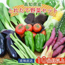 高知野菜セット 旬 詰め合わせ 野菜セット 10品目以上 高知産 産直 産地直送 新鮮 野菜 根菜 葉物 果物 厳選 土佐 高知県産 グルメ ギフト お中元 御歳暮 敬老の日 高知の旬野菜をぎゅっと詰めて全国発送いたします [チルド便]【送料無料】[ヤマト発送]