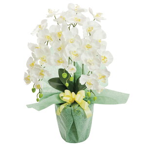 SCG}H v`iӒ A[eBtBVt[ HCA2-WY-23 zCgCG[ B088-022 bsO ̂ bZ[WJ[h Mtg lߍ킹 MtgZbg j j 