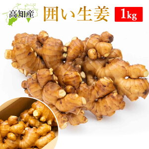 yRkYz I 1kg mY Y 傤 _ƒ mY VEK 1L ͐I mI ͂I 􂢐I  ώ g IĂ |傤 傤 p Ɩp ₦ 