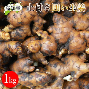 yRkYz yt I 1kg mY Y 傤 _ƒ mY VEK 1L ͐I mI ͂I  ώ g IĂ |傤 傤 p Ɩp ₦ 