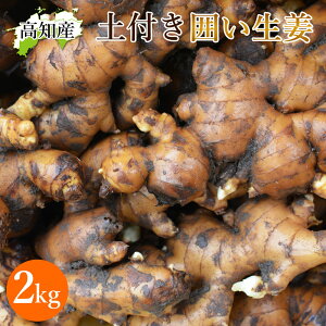 yRkYz yt I 2kg mY Y 傤 _ƒ mY VEK 2L ͐I mI ͂I  ώ g IĂ |傤 傤 p Ɩp ₦ 