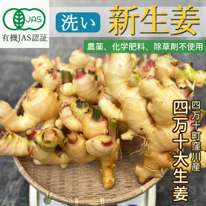 yEYz VI 2025 L@JAS  ͔|Ԓ_ I l\ 吶I L@͔| L@I mY Y I[KjbN 傤 l\ E mY VEK _L@͔| _ƒ