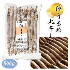 【土佐産直】 おきうるめ 沖うるめ 干物 500g ひいといぼし 一日干し 一夜干し 高知名物 土佐 居酒屋メニュー おつまみ 唐揚げ フライ 焼き魚 高知産 高知 御中元 御歳暮 ギフト メッセージカード無料【冷凍便】[ヤマト発送]