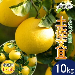 y\zU yU ƒp L`5LTCY  17`20 10kg hѕU Y _ h Ԃ񂽂 hюs Yn mY hюY 10L W[V[ ܂₩ m u^ ͂Ă