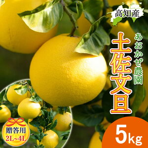 y\zp U yU 2L`4L 5kg hѕU Y _ h Ԃ񂽂 hюs mY hюY 5L W[V[ ܂₩ m u^ ͂ĂɐHׂǏnU Yn