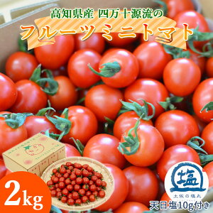 y\zy쌩zl\ t[c~jg}g 2kg n ǂ g}g t[cg}g ㊮n ~jg}g v`g}g 2L mY ỷ VtÂ Z  VN Yn