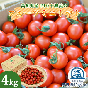 y\zy쌩zl\ t[c~jg}g 4kg n ǂ g}g t[cg}g ㊮n ~jg}g v`g}g 4L mY ỷ VtÂ Z  VN Yn