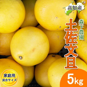 y\zU yU ƒp TCY S/M 5kg Y X_ h Ԃ񂽂 hюs Yn mY hюY 5L W[V[ ܂₩ m u^ ͂ĂɐHׂǏnUy