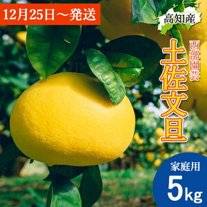 y\/N\!zU yU ƒp 5kg L`4LTCY  8`12 | hѕU Y h Ԃ񂽂 hюs Yn mY hюY 5L W[V[ ܂₩ m u^ N