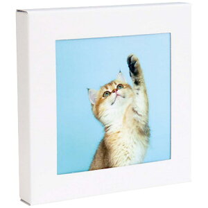 ǂɏhЃgCZbg 5 A[gg ˂ ATW-5 003(˂) 4314-037 hЃObY ЊQObY ȈՃgC ЊQp Ìō h  gC pgC hЃZbg  nk ЊQ 