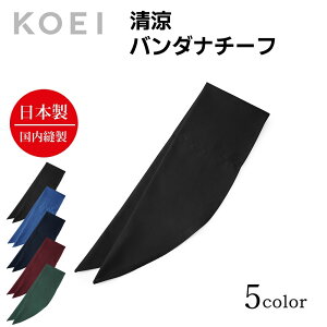 KOEI Gv o_i {  o_i`[t ʋC  jtH[ HX JtF Xg o[  Gv Y fB[X ChCWp ŃJbR