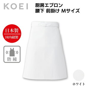 KOEI Gv { ~[Gv  MTCY k݂ɂ O|  jtH[ HX JtF Xg o[  Gv Y fB[X ChCWp 