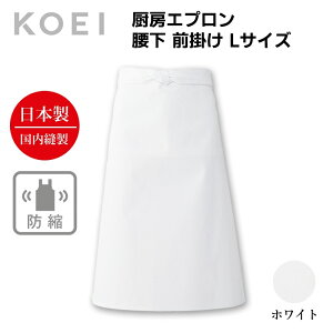 KOEI Gv { ~[Gv  LTCY k݂ɂ O|  jtH[ HX JtF Xg o[  Gv Y fB[X ChCWp 