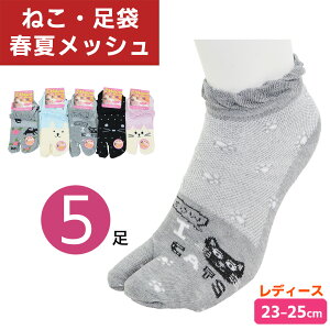 ܃\bNX L 5Zbg bV t  C ˂C lR ˂ \bNX  23-25cm Ԃ V[g fB[X Xj[J[\bNX V[g\bNX C lRD