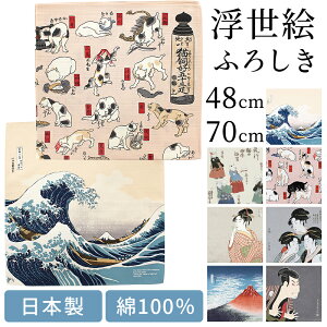 C~ ӂ낵 { 48cm 70cm 100% S7 a G xm L  MtgbsO ubNJo[ ٓ obO C{gbsO ^yXg[ z ̓ ̓ hV
