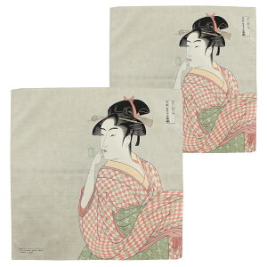 C~ ӂ낵 { 48cm 70cm 2Zbg 100% S7 a G xm L  MtgbsO ubNJo[ ٓ obO C{gbsO ^yXg[ z ̓ 