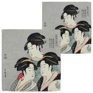 C~ ӂ낵 { 48cm 70cm 2Zbg 100% S7 a G xm L  MtgbsO ubNJo[ ٓ obO C{gbsO ^yXg[ z ̓ 