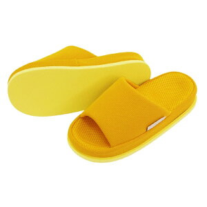 Xbp GA{[  ډ NXbp NT_ t [V[Y [Xbp  qp Y fB[X p  E ݑΖ refre bV 