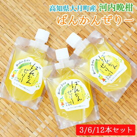 【大月産直】 河内晩柑ゼリー セット 果樹50％ はちみつ入り みしょうかん 晩柑 ばんかん フルーツゼリー 高知県 大月町 高知産 和製グレープフルーツ ジューシー まろやか蜂蜜入り まっすぐさわやか飲むゼリー【送料無料】[ヤマト発送]