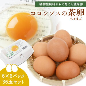 yYz  RuX̒ 6×6 36 A100 RuX ܂  ܂ Z ԋ ʎq  ^}S ܂ sgp Β t JeL VN { 