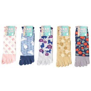 a 5{w\bNX 5Zbg fB[X wlp p aeCXgȕ͗l ܖ{w N[ C SnK ₦ O \h g[΍ d X|[c AEghA y[