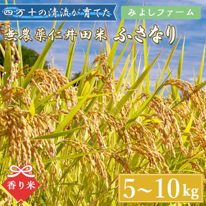 yEYz l\ ܂ڂ낵̕ ӂȂ _ mc 5kg 10kg  ߘa7NY    ܂ E mY uh ɂ܂ m̗LuĂ̕ w엿s