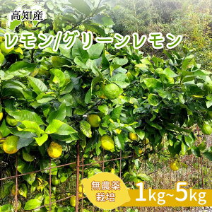 yYnz  Y Y ͔|Ԓ _ O[ 1kg 2kg 3kg 5kg EG mY m[bNX h hJr sgp   mY R͔|_ƂĂ܂ŐH