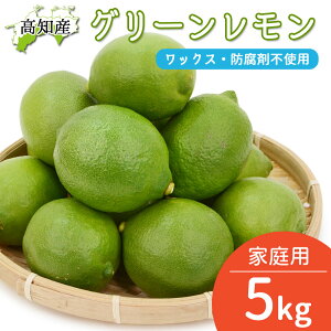 O[ 5kg  RkY EG Yn mY Y ƒp m[bNX h hJr sgp   mY u₩ȍƎ_ nEX͔|炪